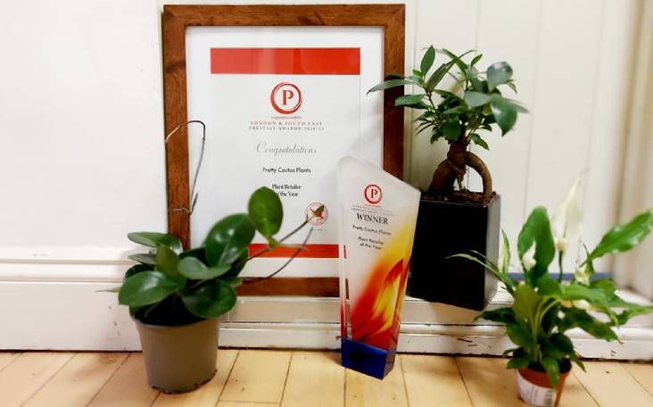 Pretty Cactus Plants - London and South East England Prestige Award for PLANT RETAILER OF THE YEAR!