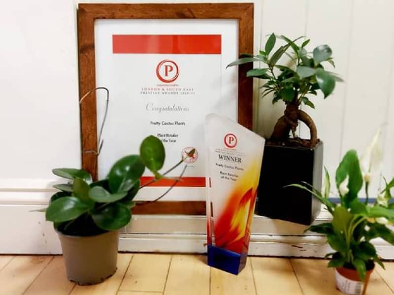 Pretty Cactus Plants - London and South East England Prestige Award for PLANT RETAILER OF THE YEAR!