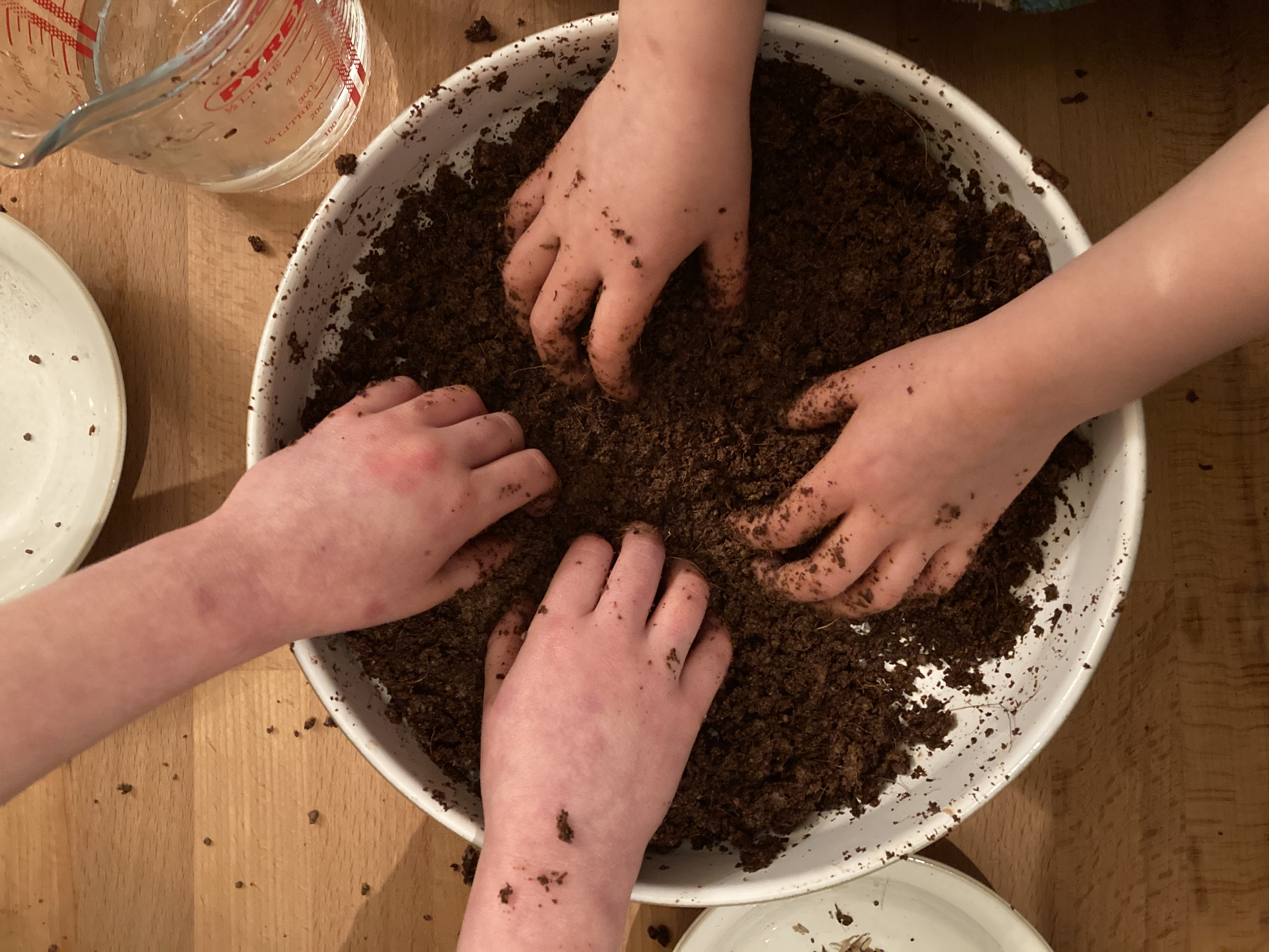 butterfly seed bomb kit