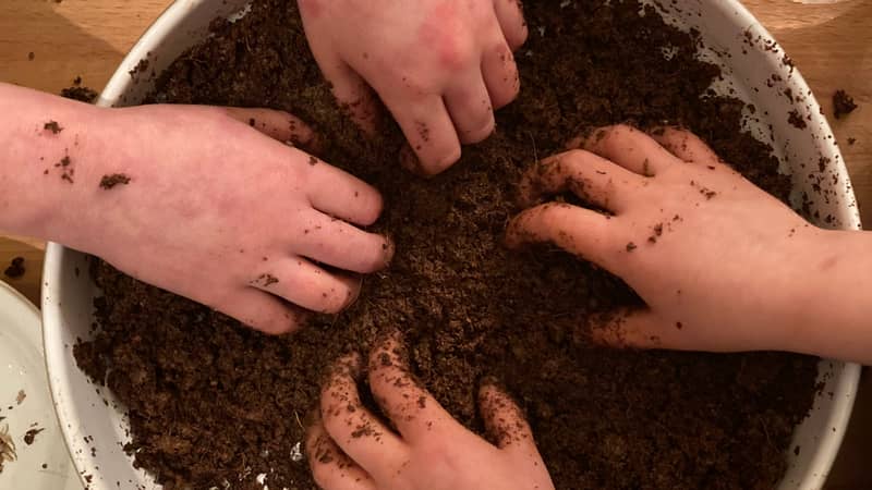butterfly seed bomb kit
