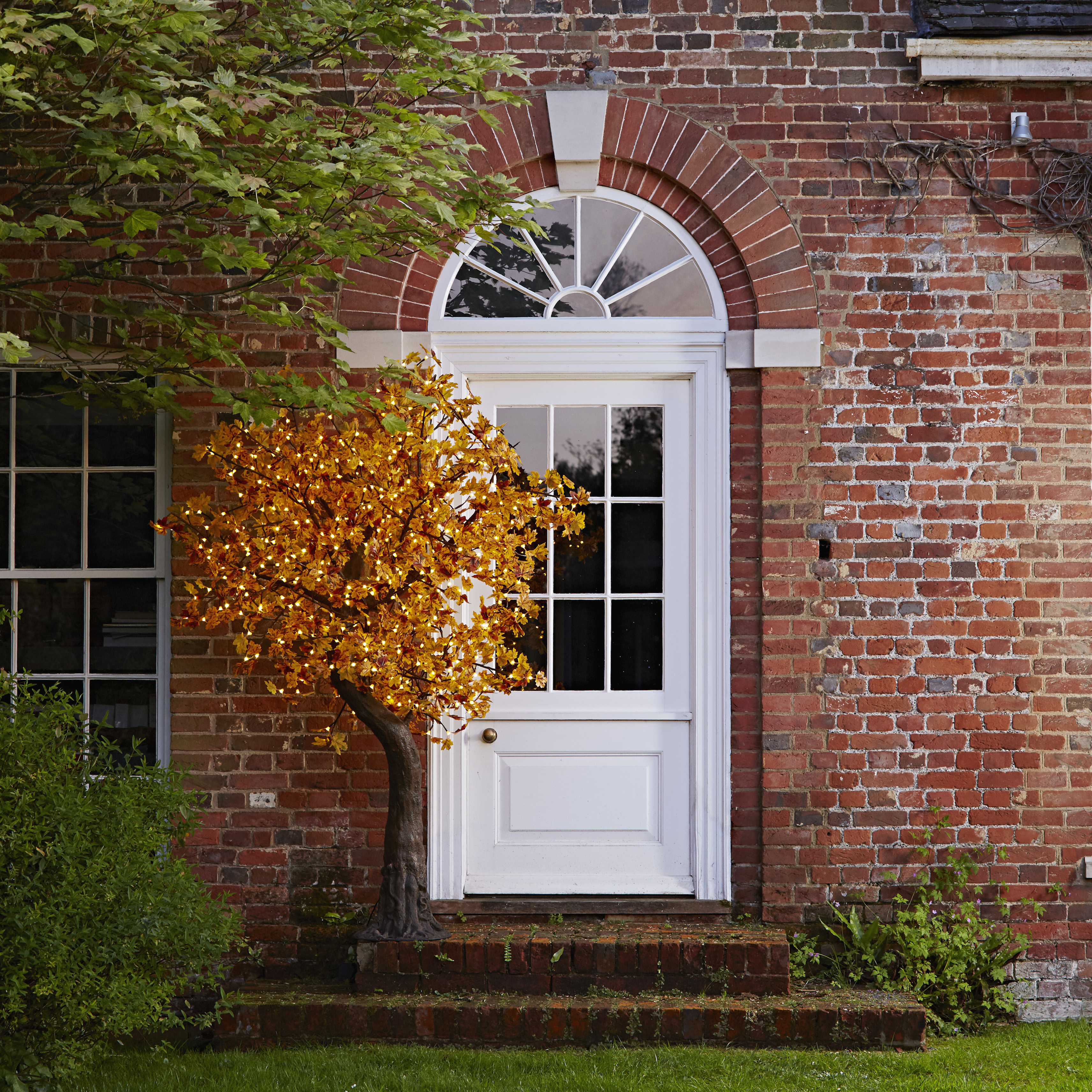 Autumn Maple outside a home