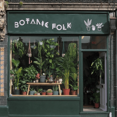Our houseplant shop & botanical boutique