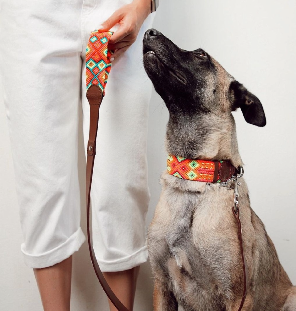 Collar & Lead Set