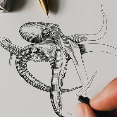 Octopus line and dot drawing