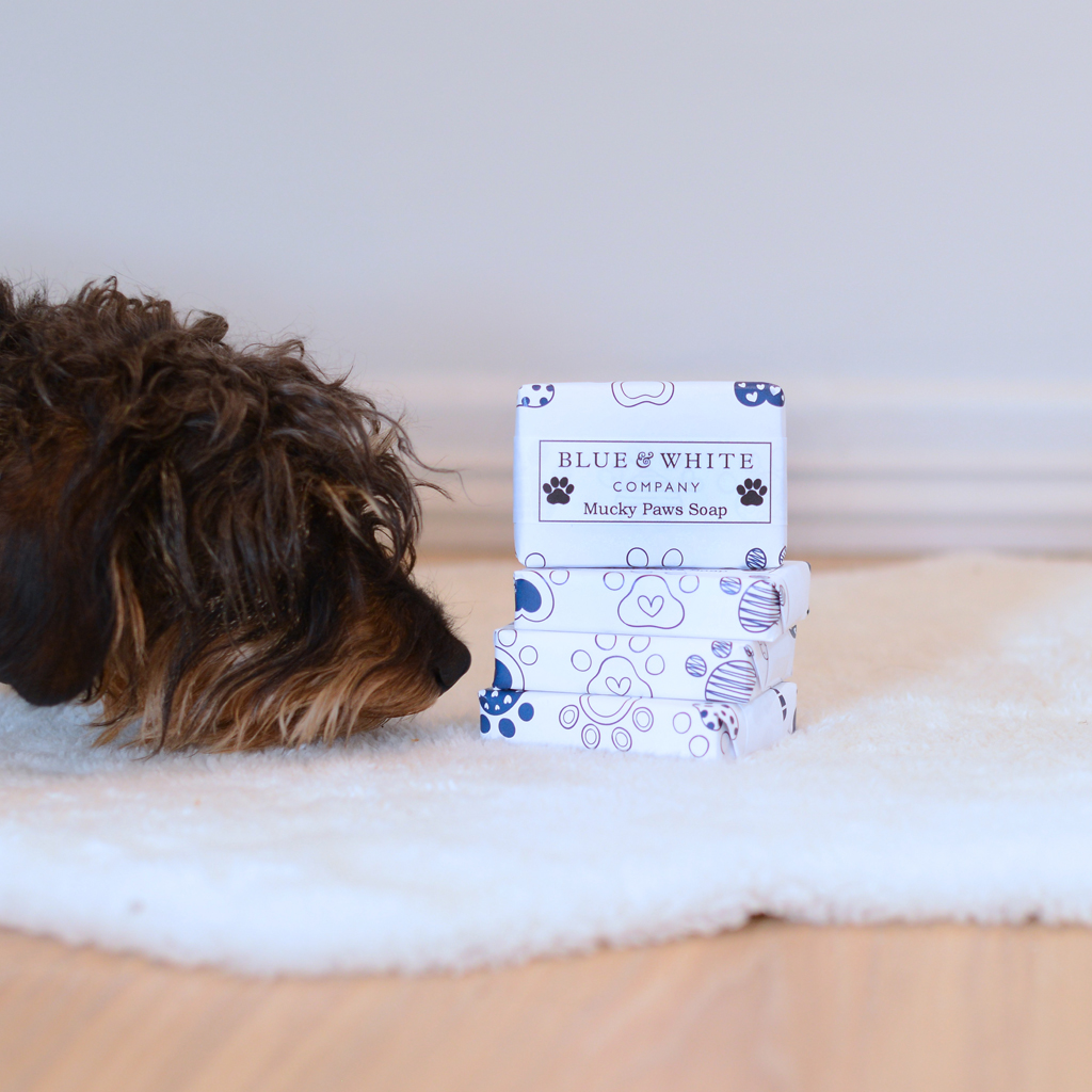 Pocket gifts, Pet Soap