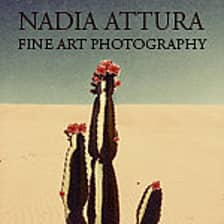 NADIA ATTURA logo