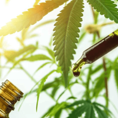 CBD oil and hemp leaves