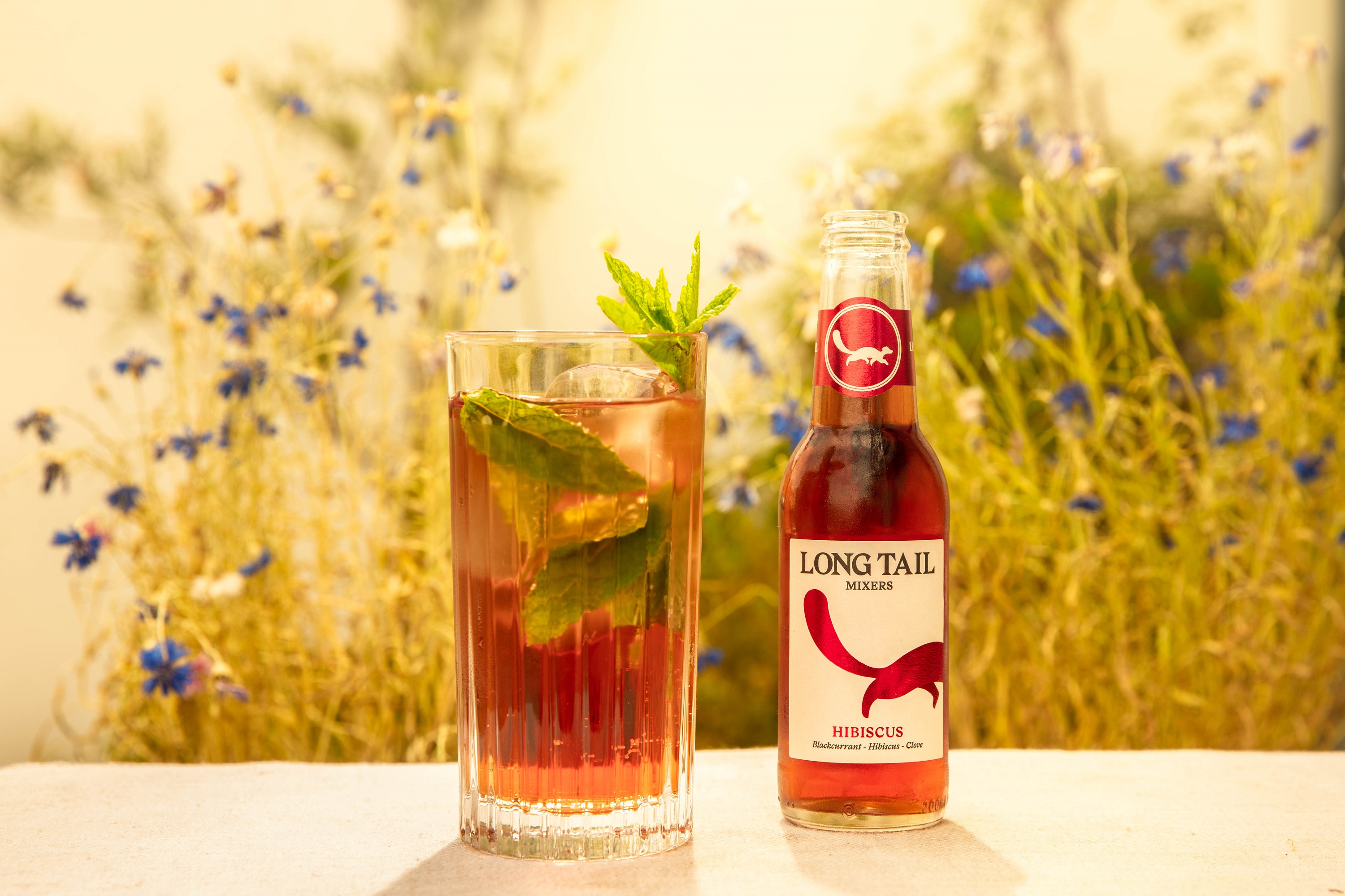 Long Tail Hibiscus mixer