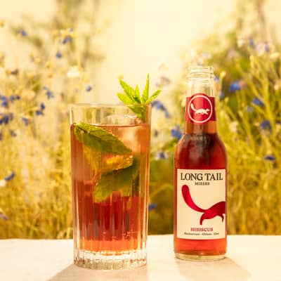 Long Tail Hibiscus mixer