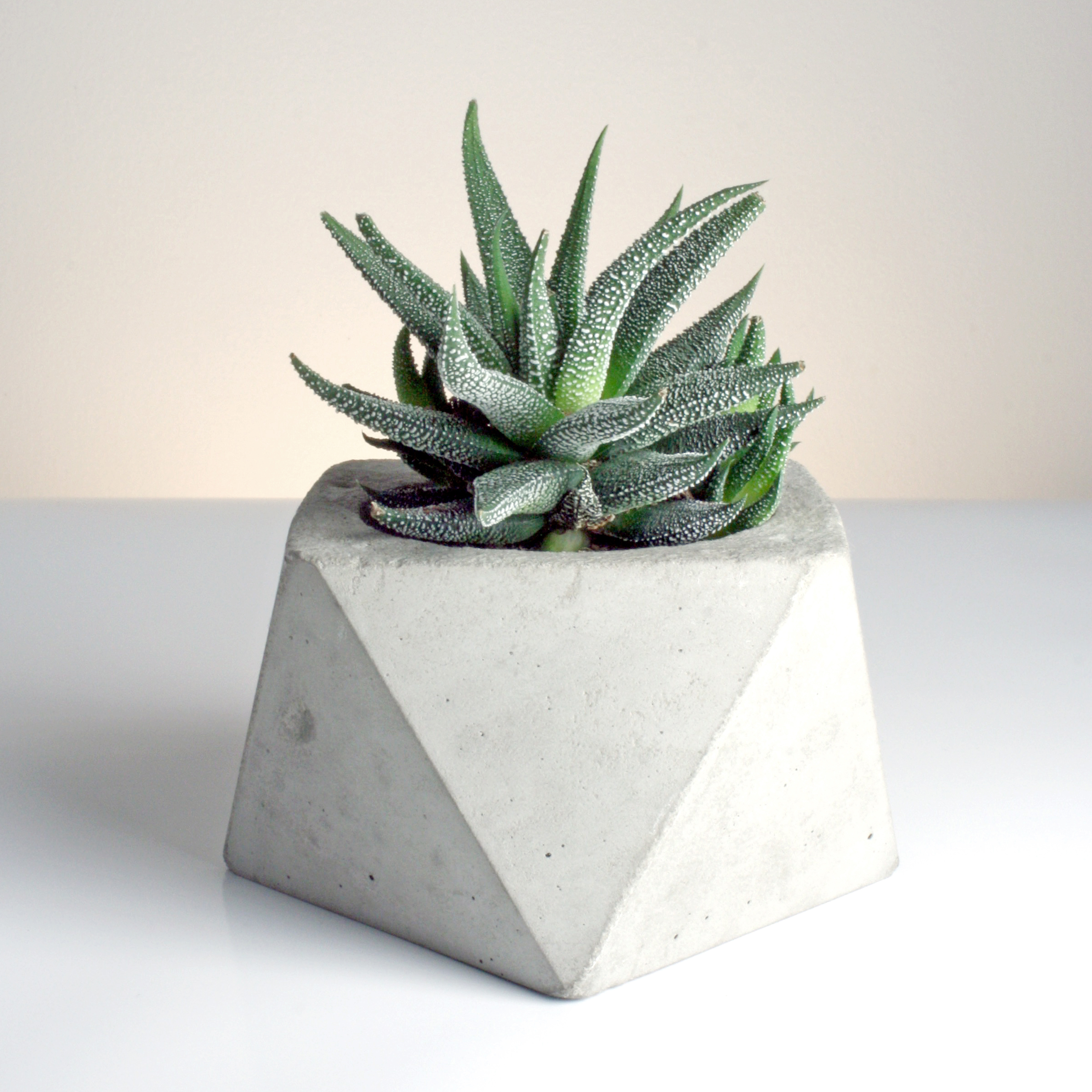 Final planted square antiprism design