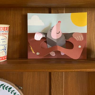 Mole in a Hole Pop Up