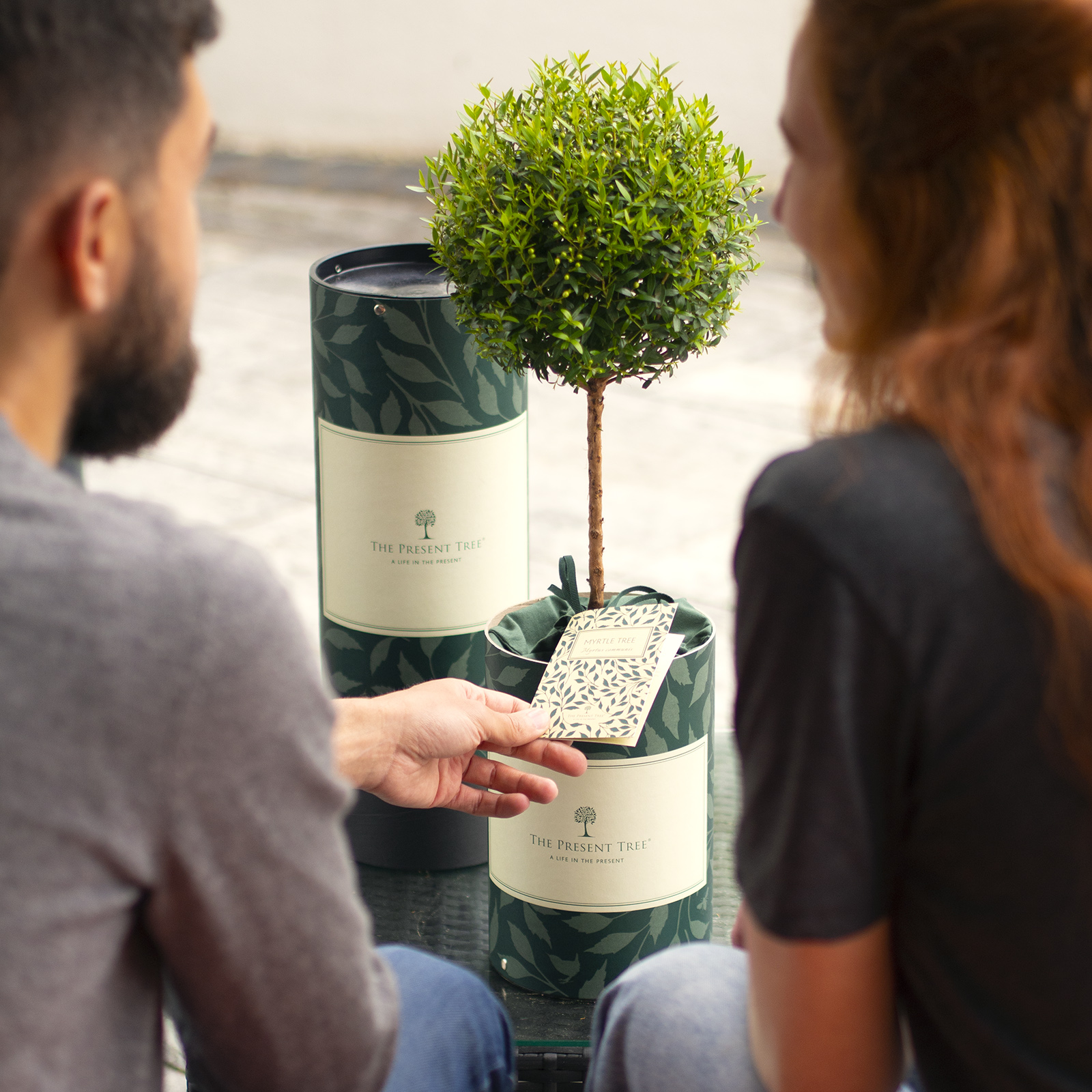 Beautifully wrapped tree gift delivered to their door.