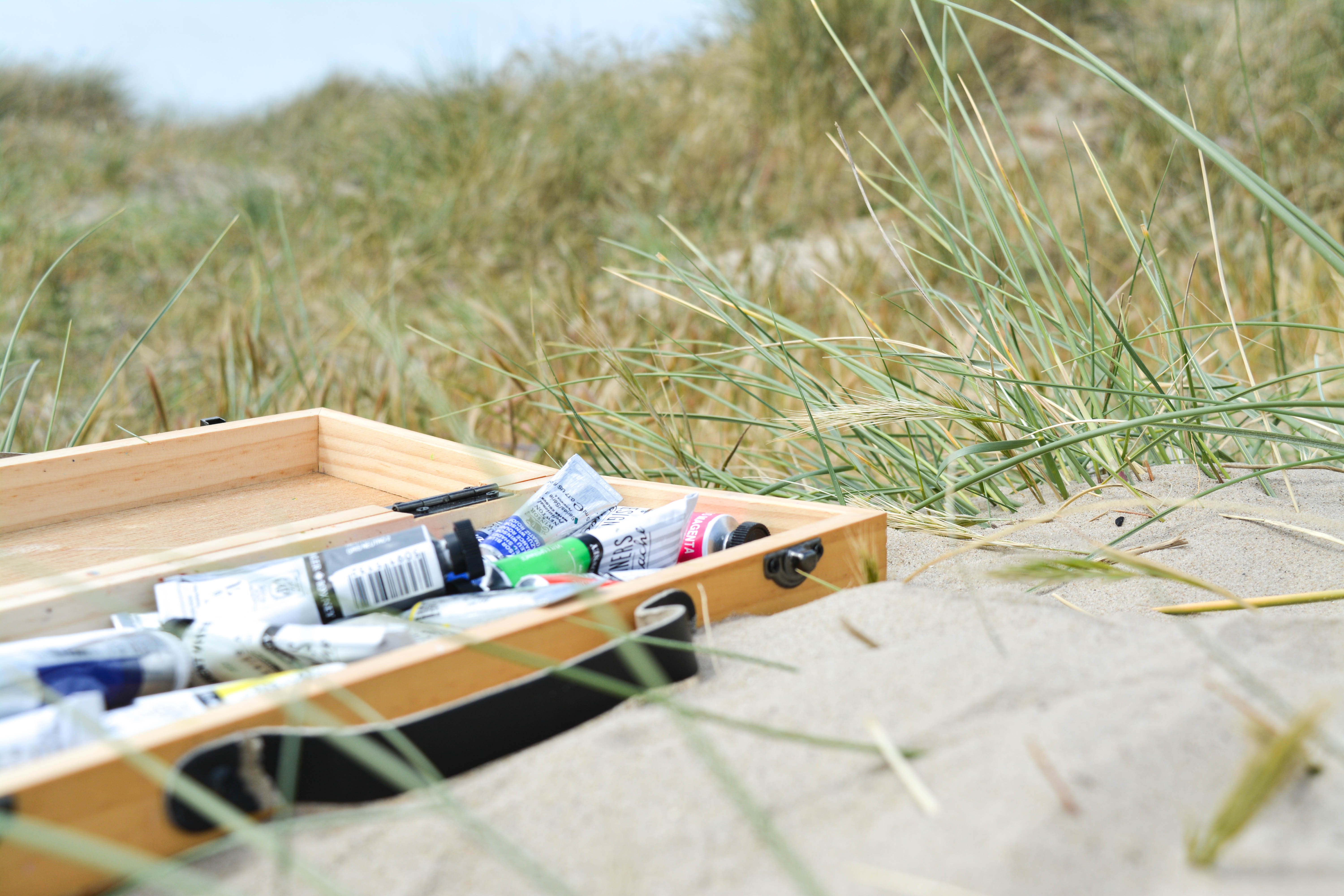 High Tide Illustrations paints