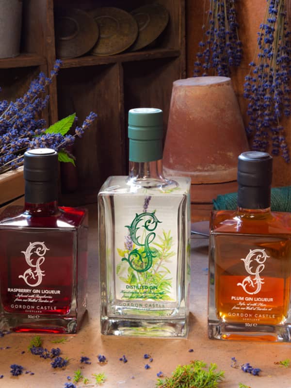 Award winning gins