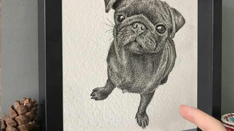 Pet portrait illustrations