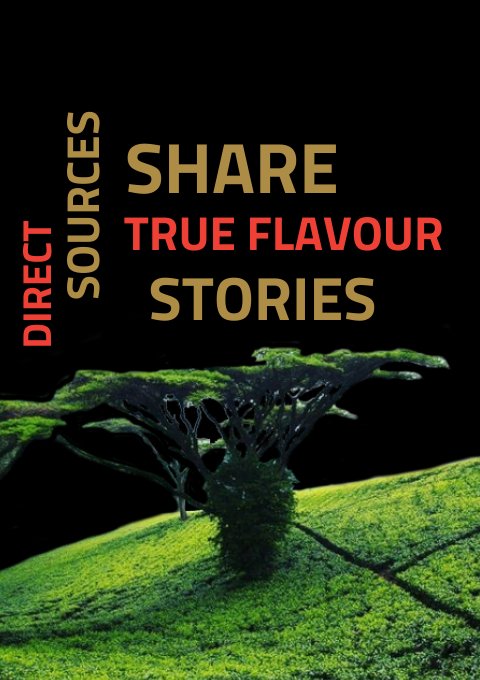 Tea Rebellion_AboutUS_notonthehighstreet