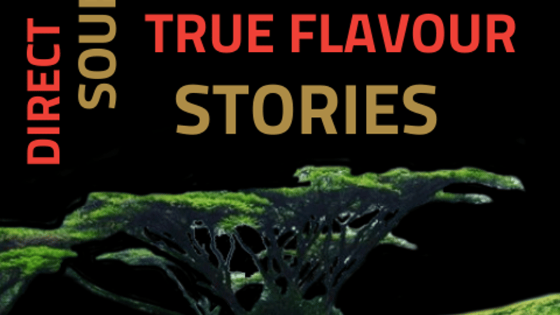 Tea Rebellion_AboutUS_notonthehighstreet