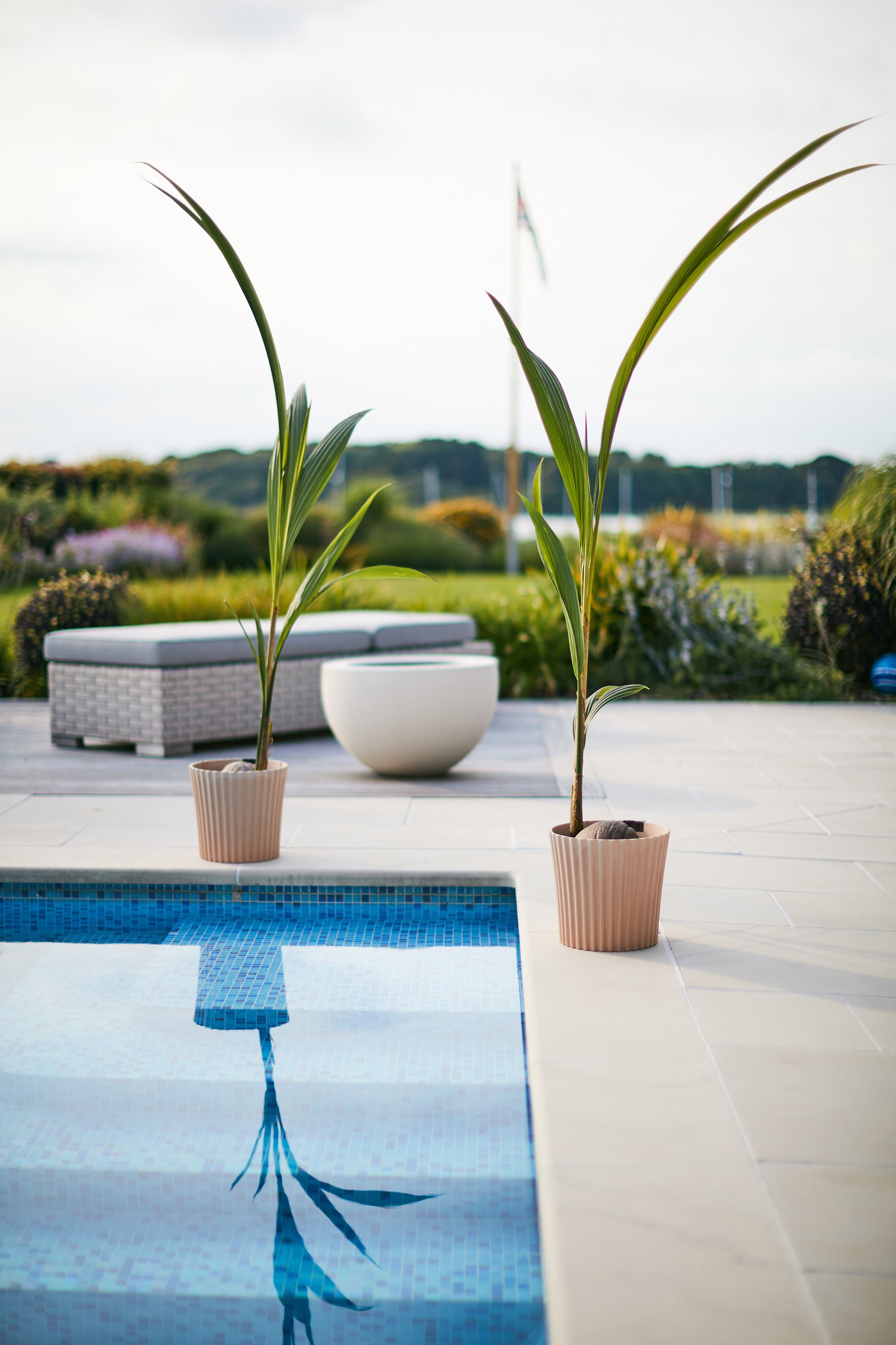 Husk Large Cupcake Planter