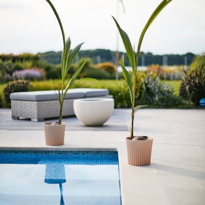 Husk Large Cupcake Planter