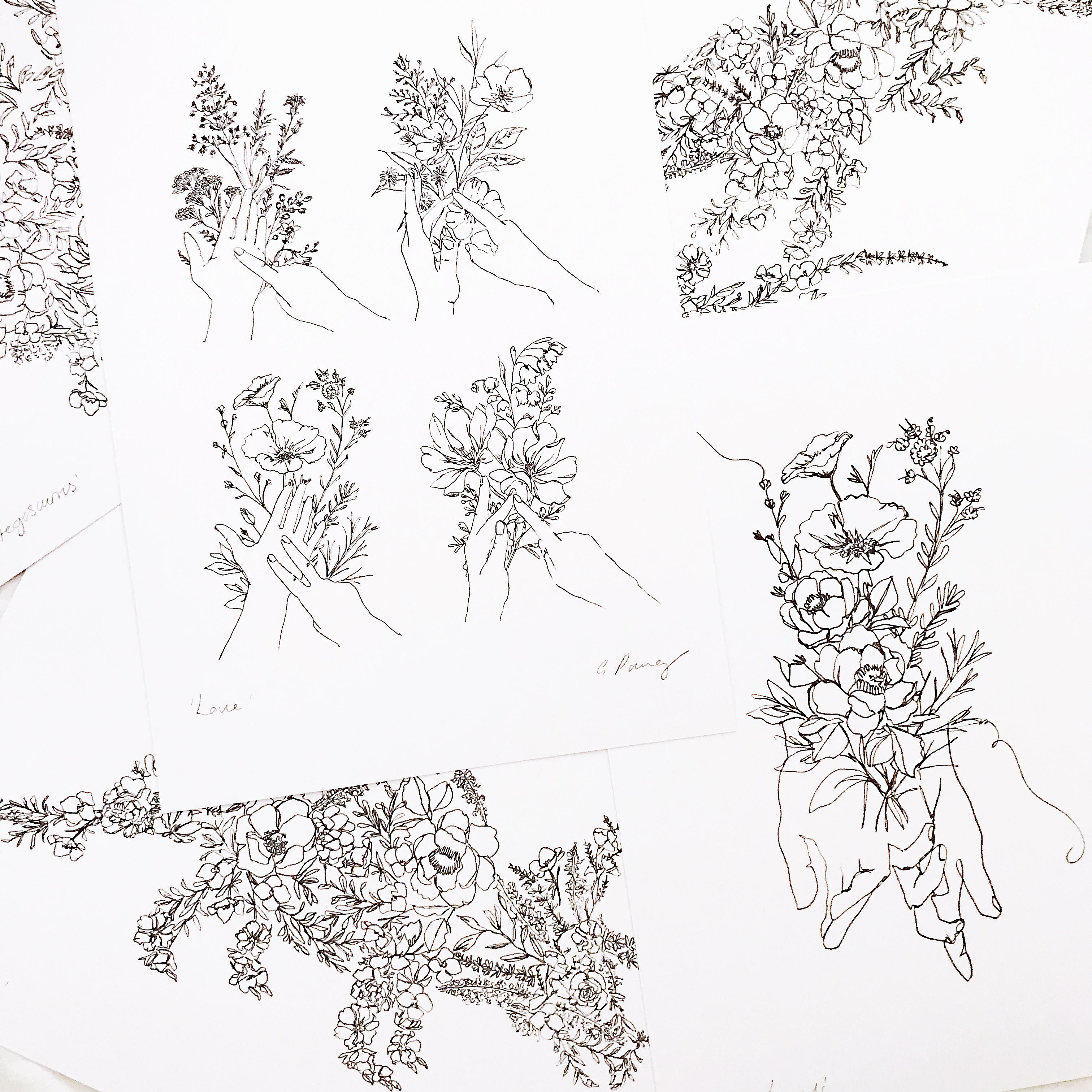 Line Drawing illustration