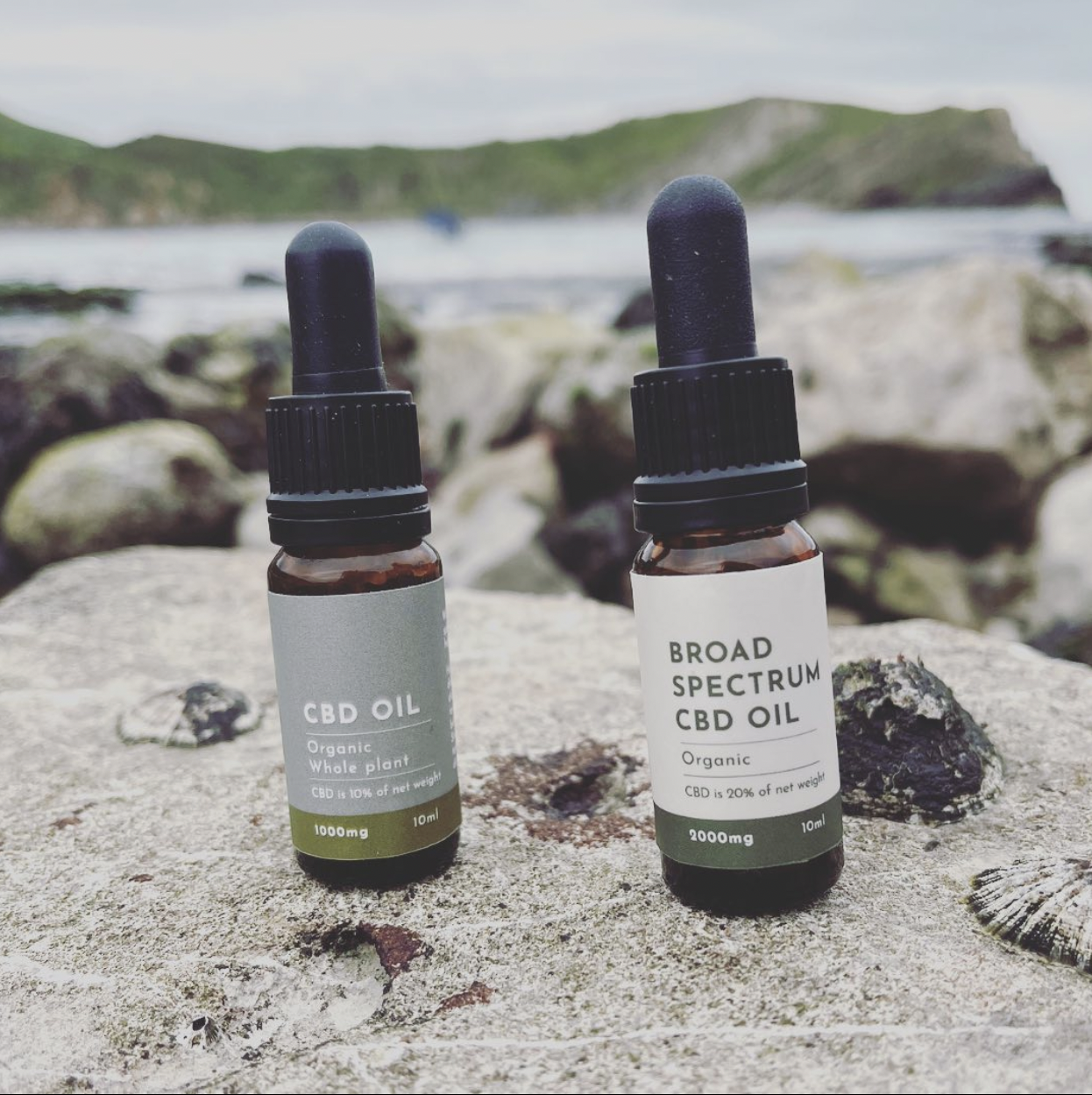 Full Spectrum CBD Oil 10% By The British CBD Company
