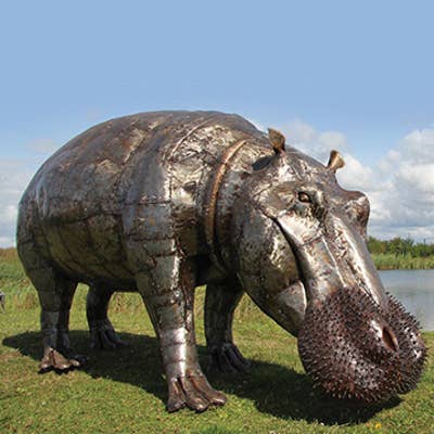Hippo