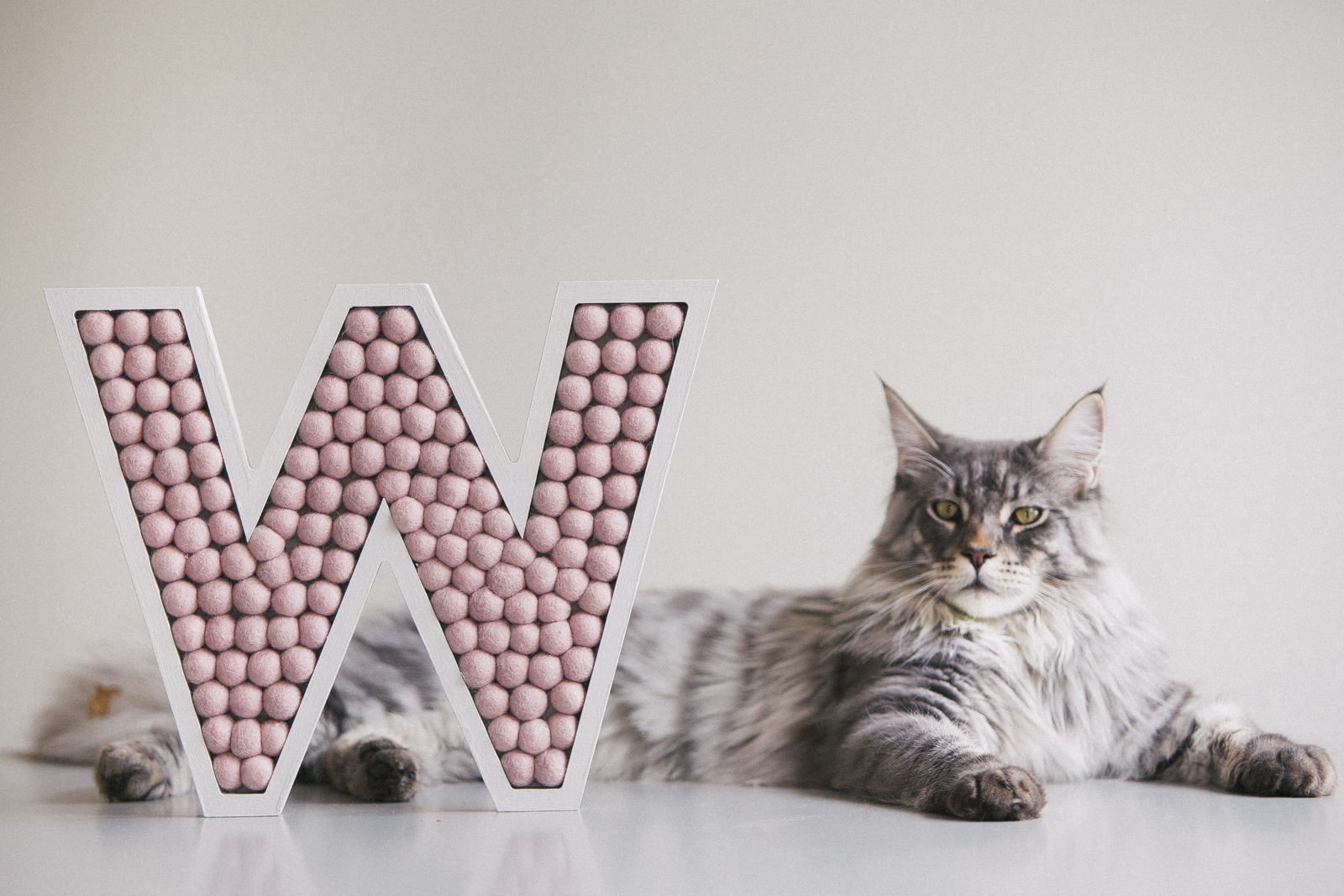 Monty, Director of Operations