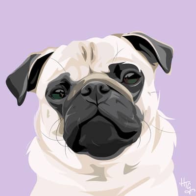Personalised Pet Portrait