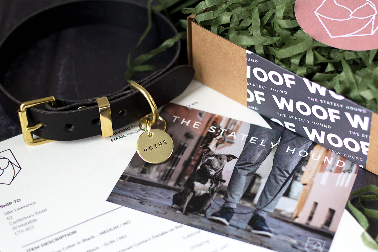 Dog Collar and Name tag