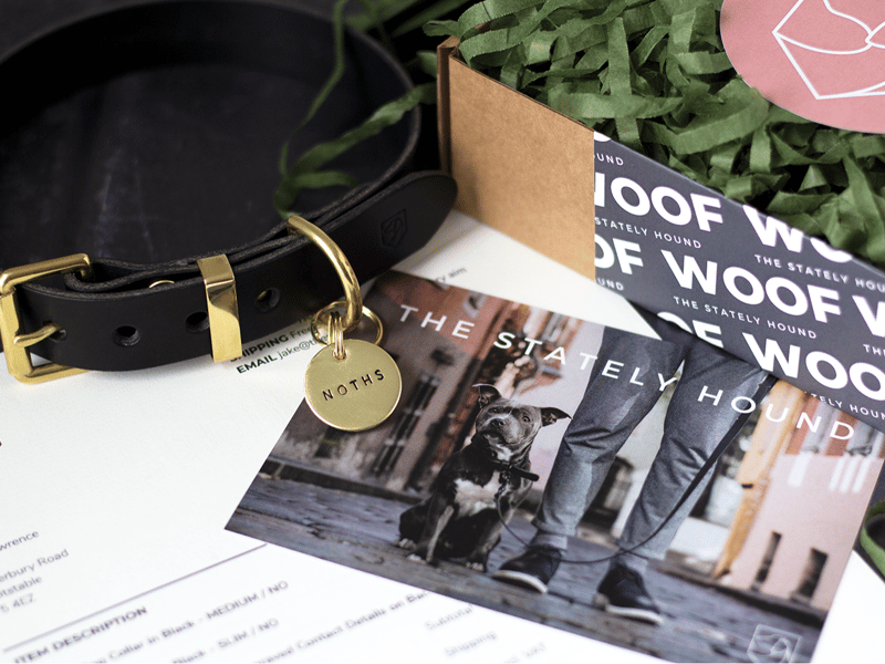 Dog Collar and Name tag