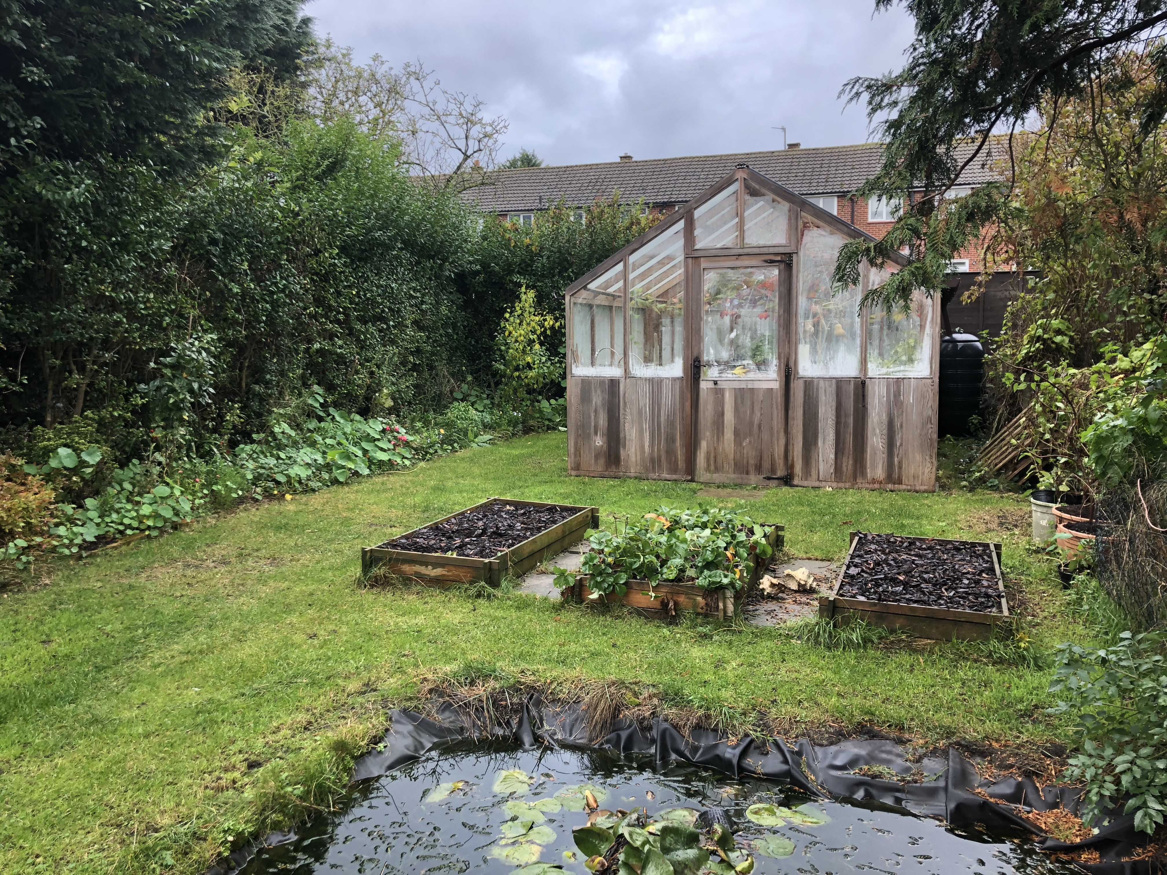 Garden Greenhouse Homegrown Flowers