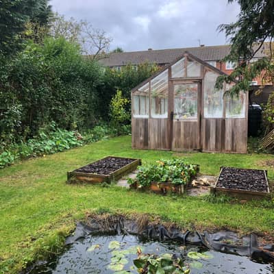 Garden Greenhouse Homegrown Flowers