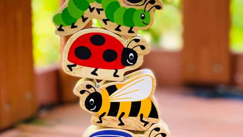 Set of 6 wooden toy insects