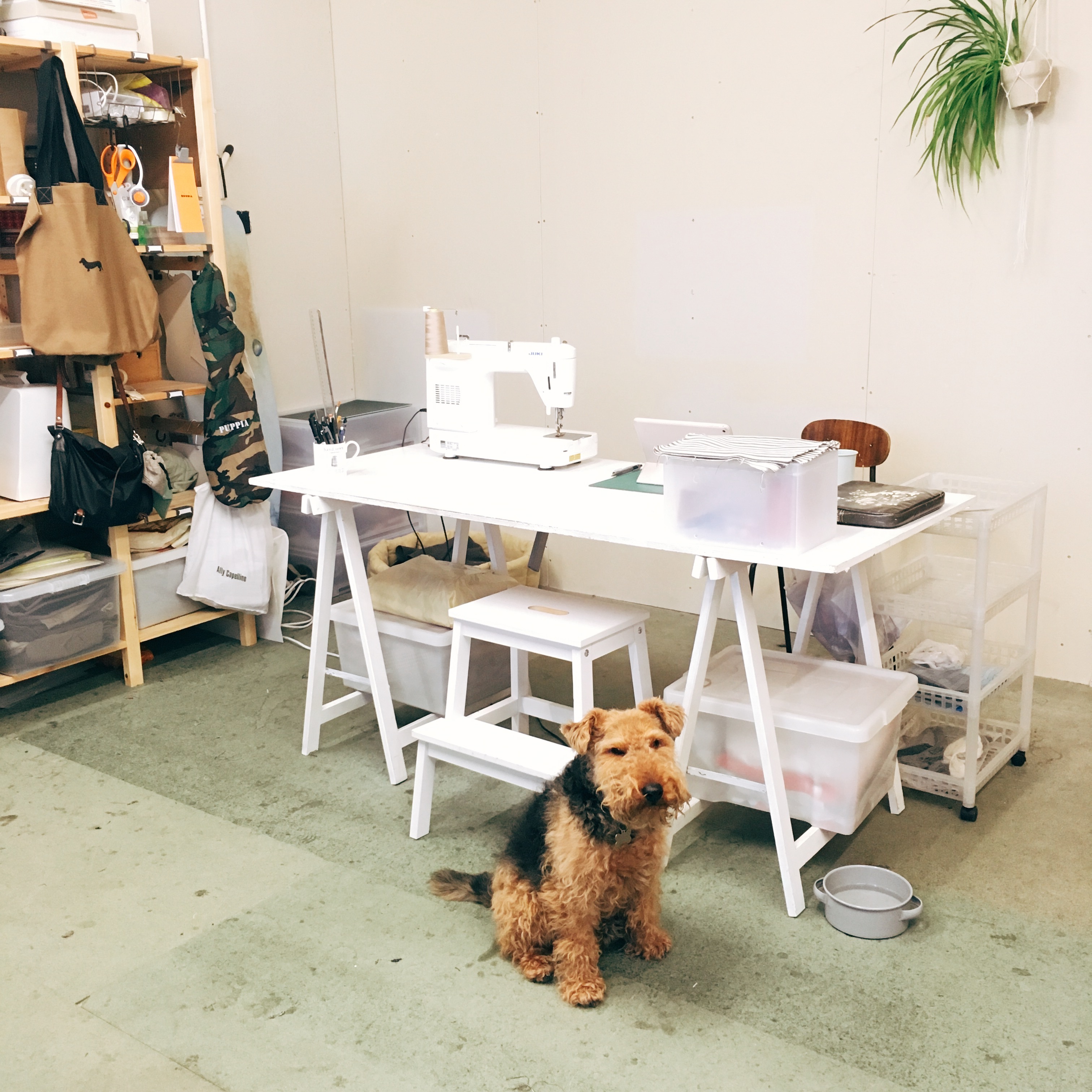 Studio and muse Edwyn