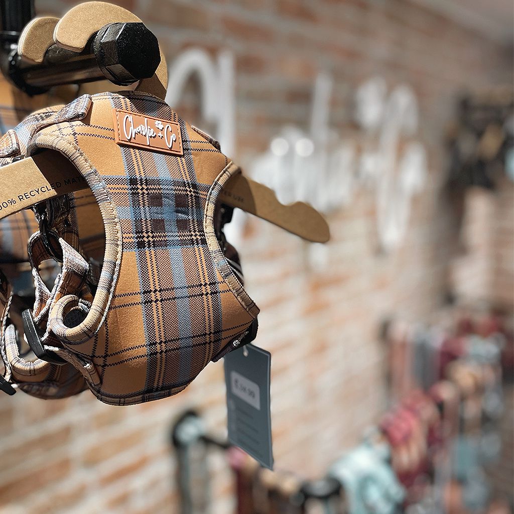 Check Him Out dog harness in store