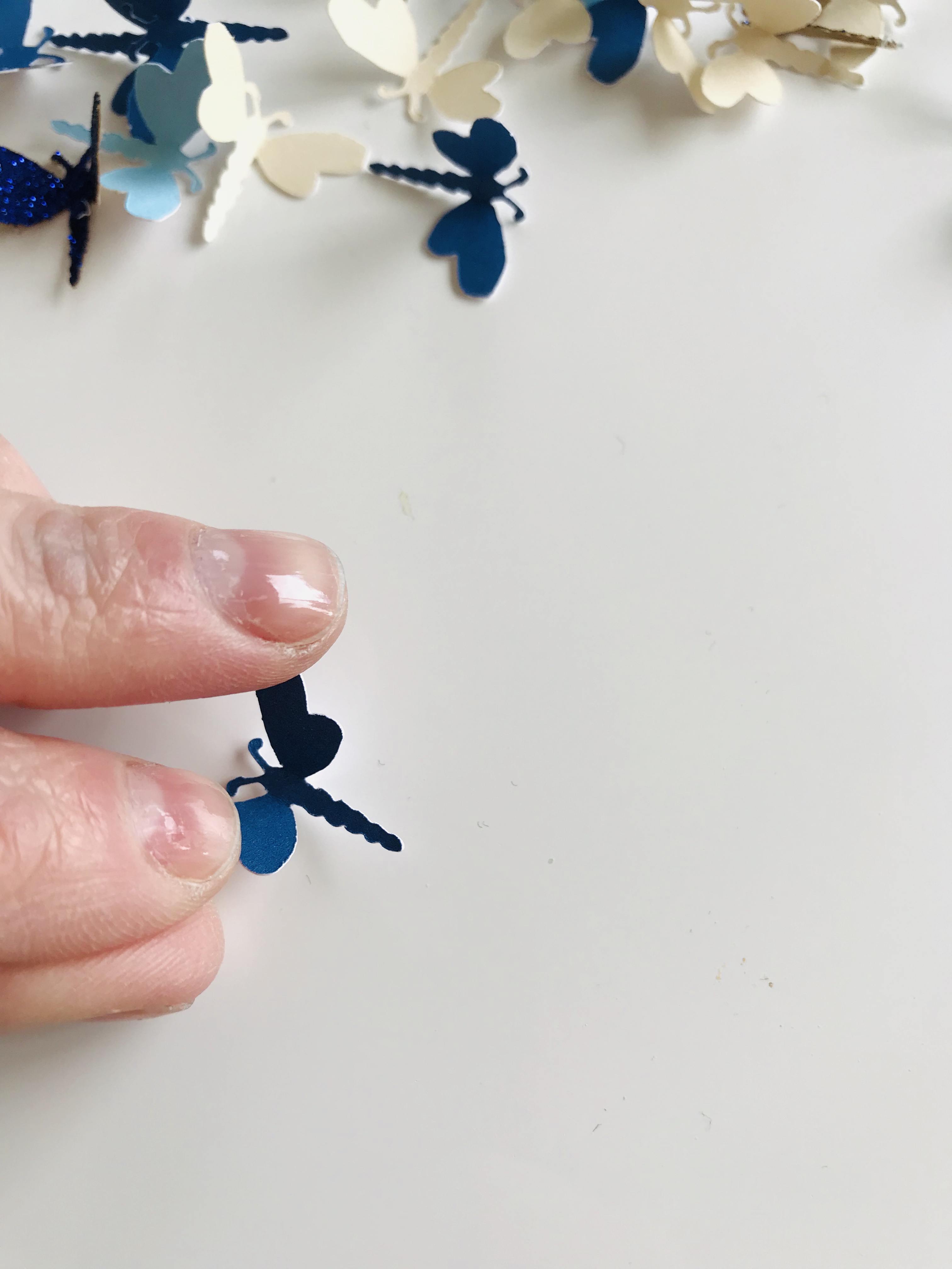 Erika pressing the dragonfly wings out so they open equally on both sides