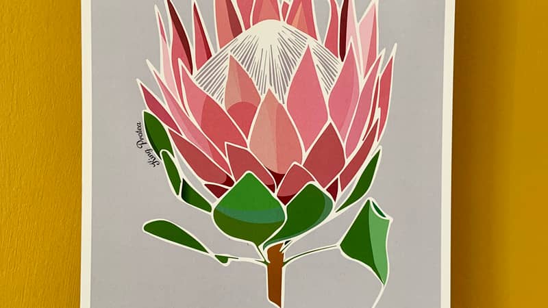 King Protea Print on grey.
