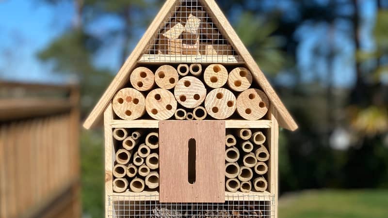Providing unique & cosy homes for wild birds