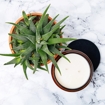 The Nomad Society large double wick soy candle