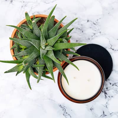 The Nomad Society large double wick soy candle