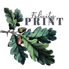 Felicity Print logo