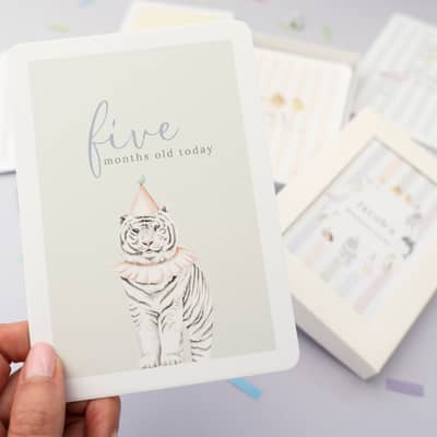 Milestone Flamingo and Bear