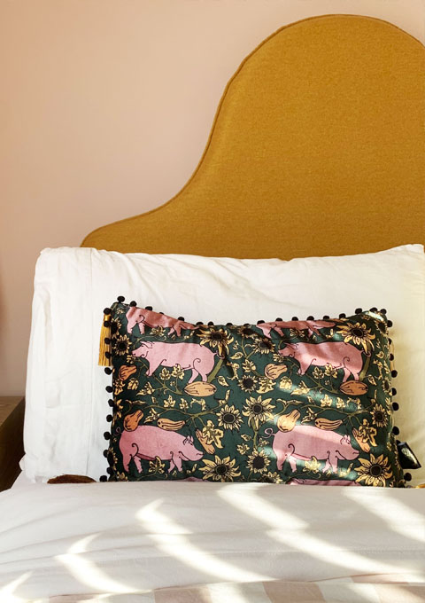 Image featuring the Jewel country Pig