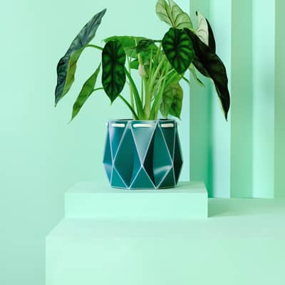 POTR founders Martin and Andy designing the origami plant pot