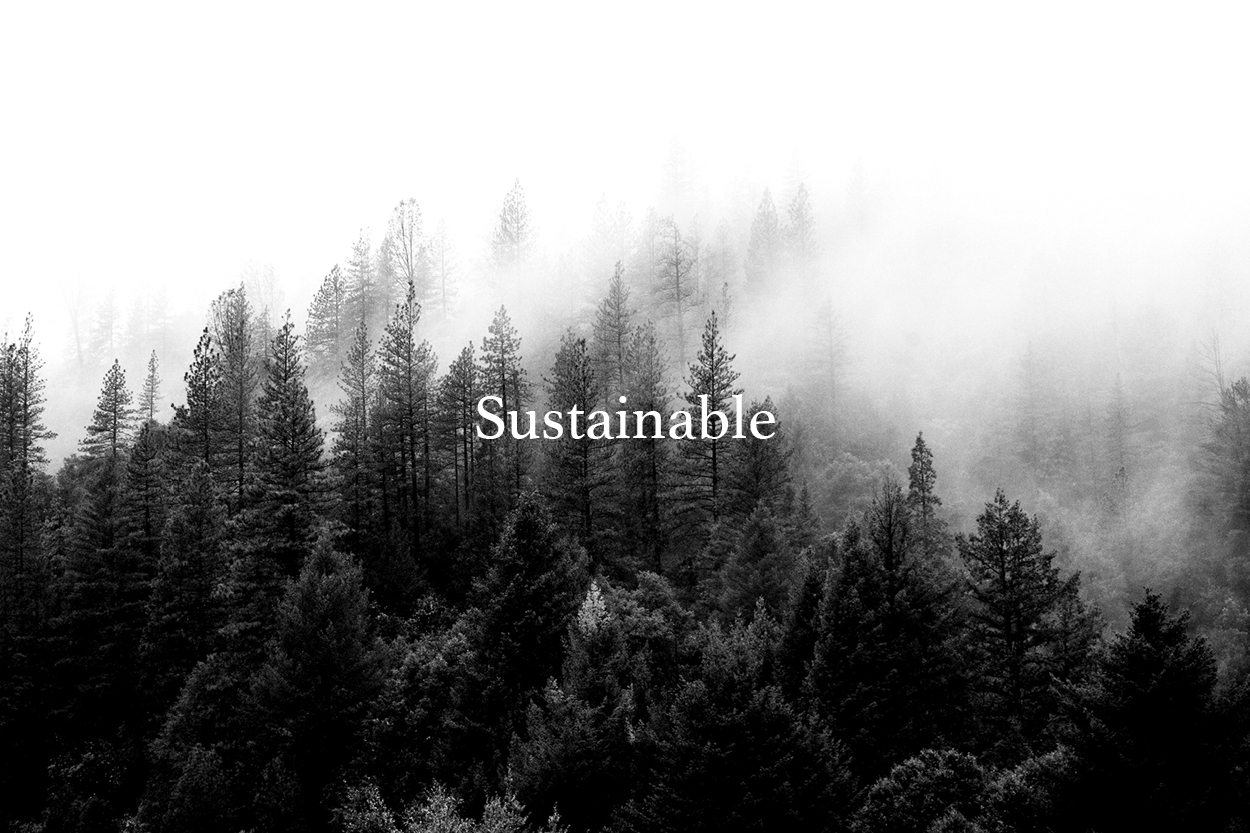 Sustainable design