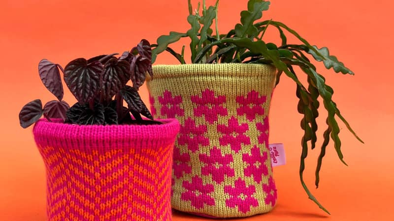 Mini and Medium Pot Covers styled with plants.