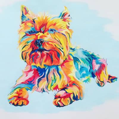 colourful bright multicoloured pet portraits yorkshires dogs