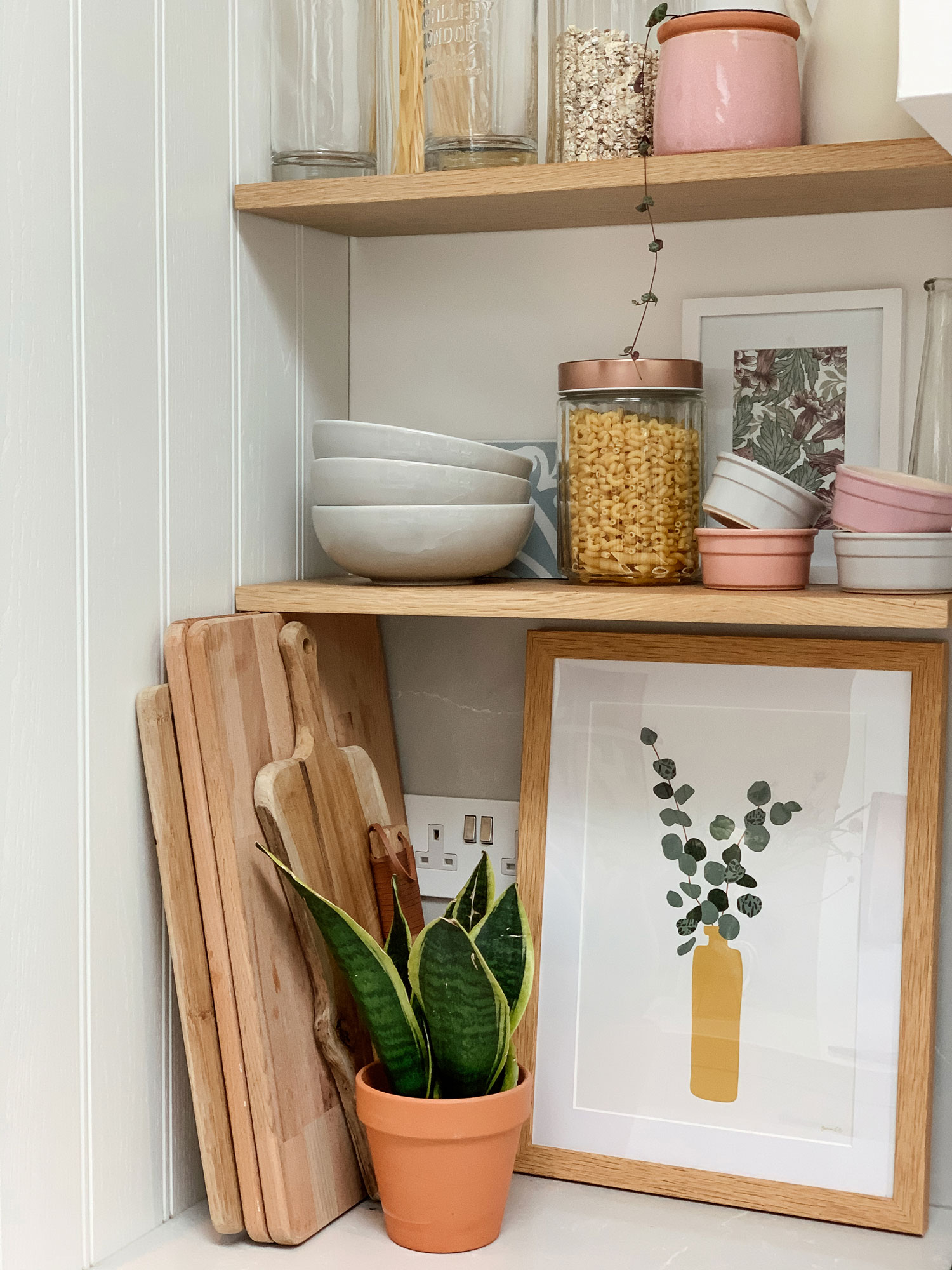 Eucalyptus Plant Print