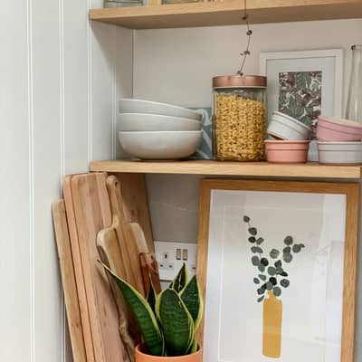 Eucalyptus Plant Print