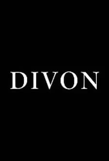 DIVON logo